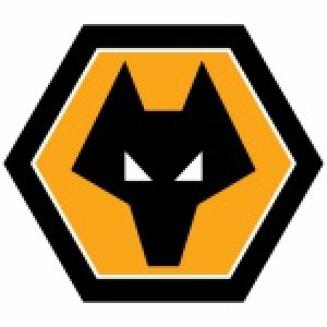 Wolverhampton Wanderers